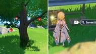 POV of Apples on Cuihua Trees and Investigative Points (Image via HoYoverse)